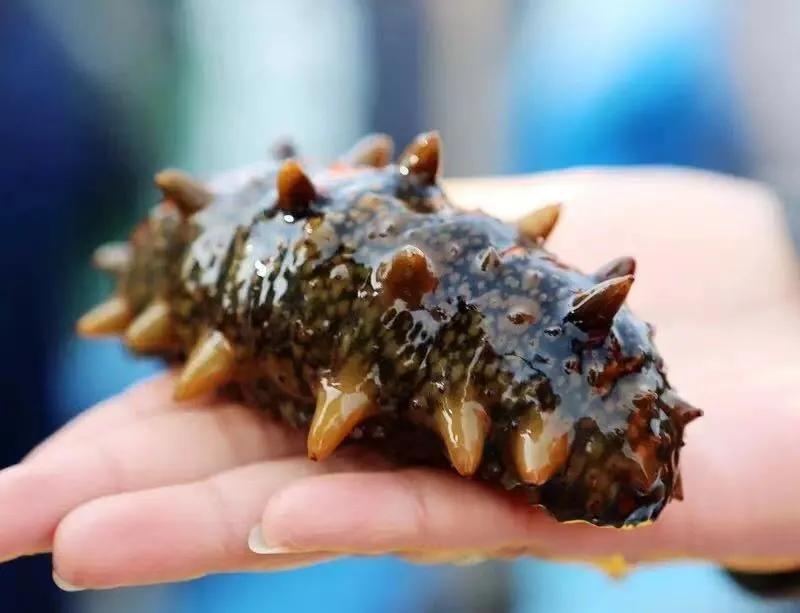 202106261741246880.jpg 202106261741246880.jpg